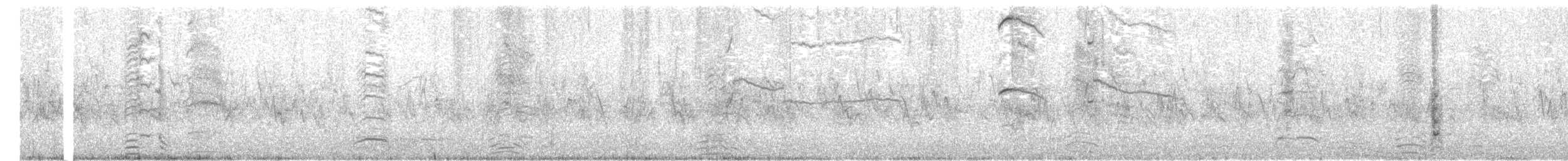 racek bouřní (ssp. canus) - ML203952671