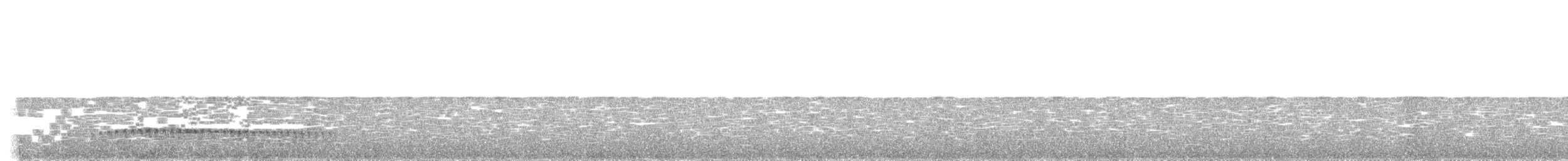 Fleckenmantel-Ameisenfänger - ML203953111