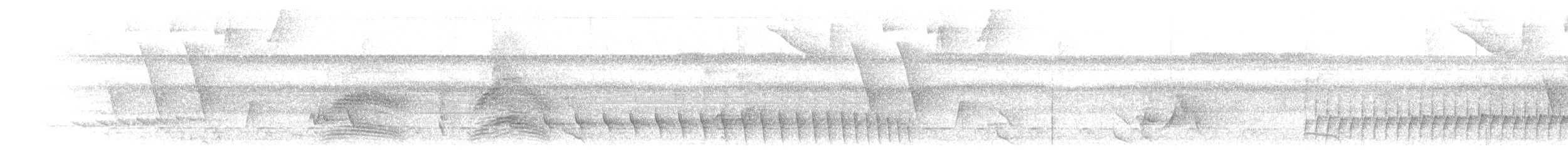 Пестрокрылый мухоед (examinatus) - ML203954081