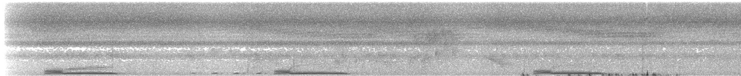 bronsekeiserdue (aenea gr.) - ML203955191