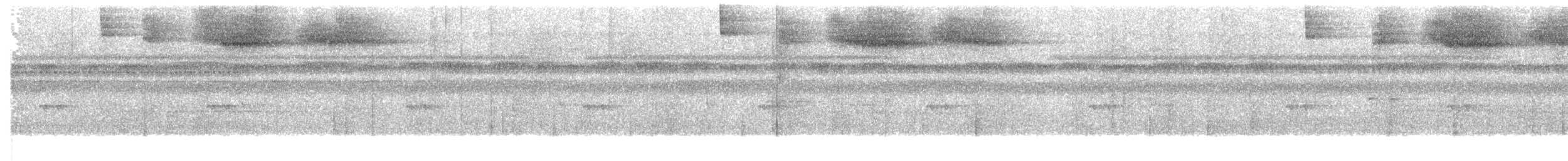 Schwarzring-Buschammer (taciturnus/nigrirostris) - ML203955721