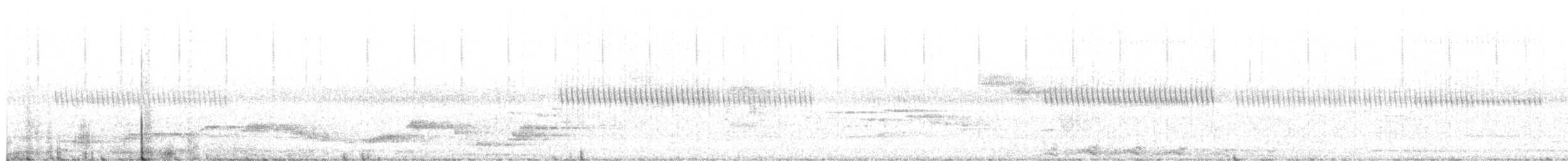bronsekeiserdue (aenea gr.) - ML203956201