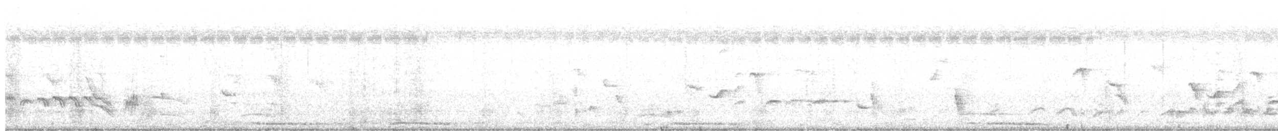 orientskjæreskvett (saularis gr.) - ML203956251