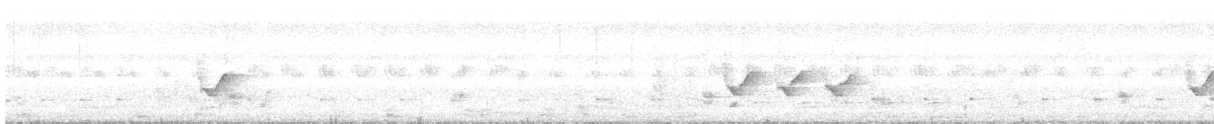 Graubrustdrongo (leucopygialis/insularis) - ML203956261