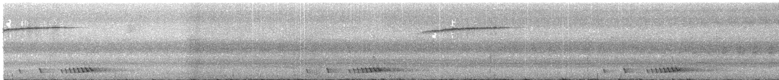 Barbu élégant - ML203957021