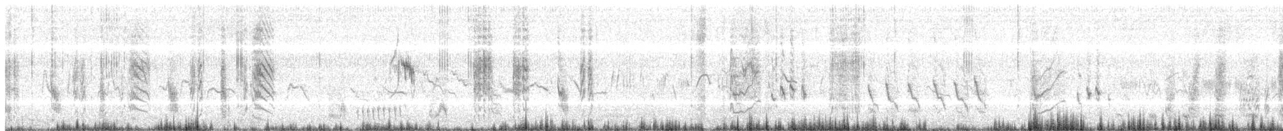 Woodchat Shrike - ML203957621