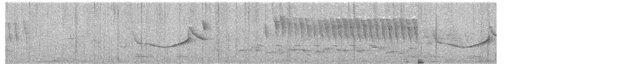 Cetia Verdiamarillo (intricatus/oblitus) - ML203957971