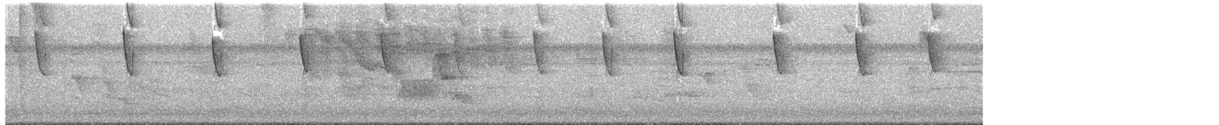 Бронзовый колибри-отшельник - ML203958291