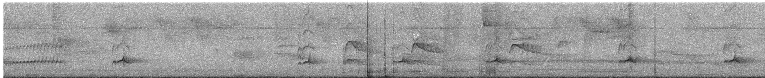 Boz Başlı Sinekkapan (nigriceps/atriceps) - ML203958331