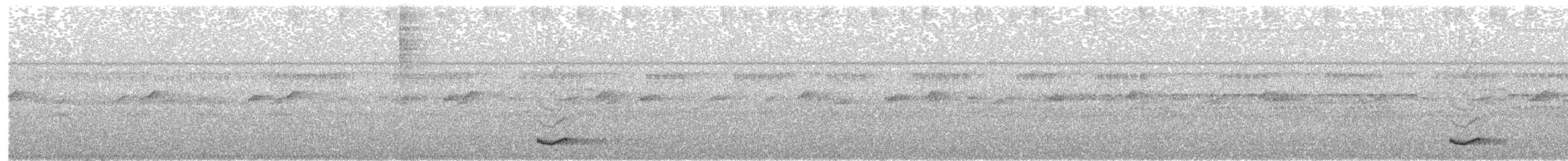 Анаперо-довгокрил бурий (підвид nattereri) - ML203959061