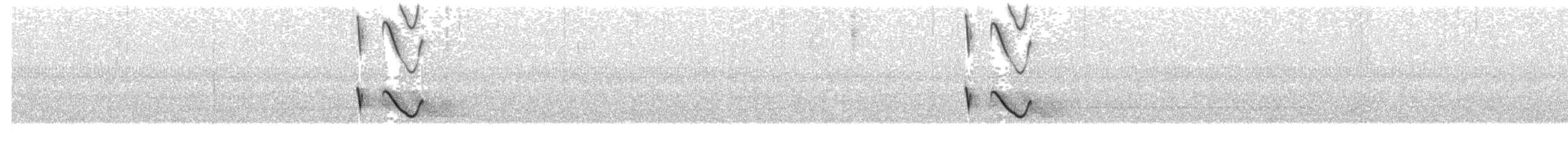 Spot-tailed Nightjar - ML203959101