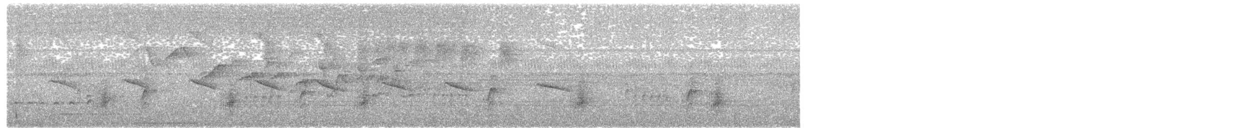 Çizgili Pufkuşu (striata) - ML203959441
