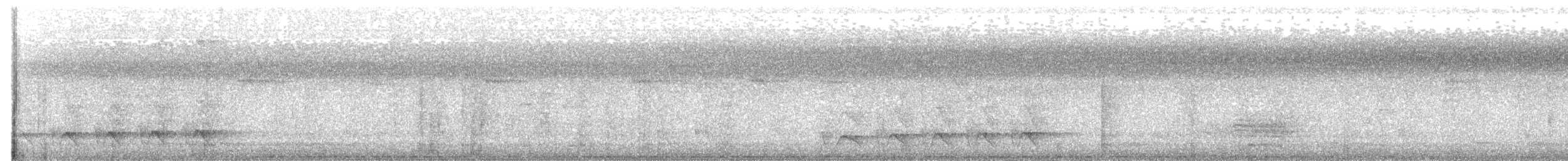 シラオラケットカワセミ - ML203959771