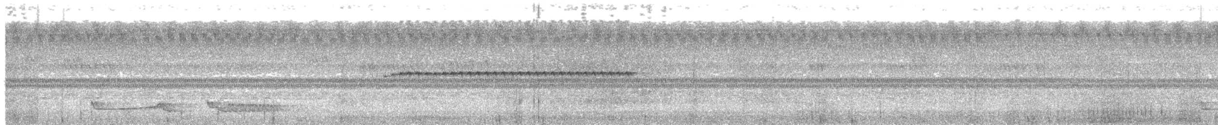 Ötücü Çobanaldatan (nigriscapularis) - ML203959901