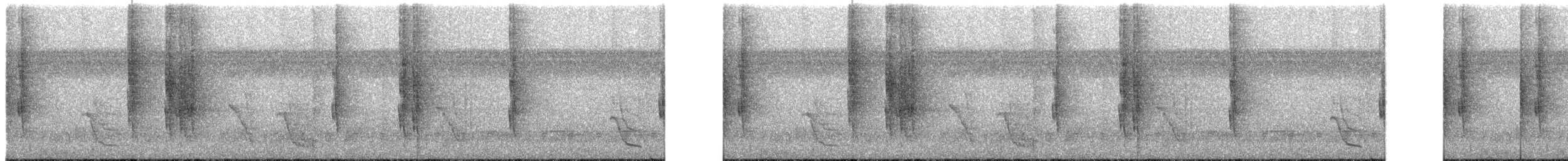 Bauchflecken-Ameisenvogel - ML203961101