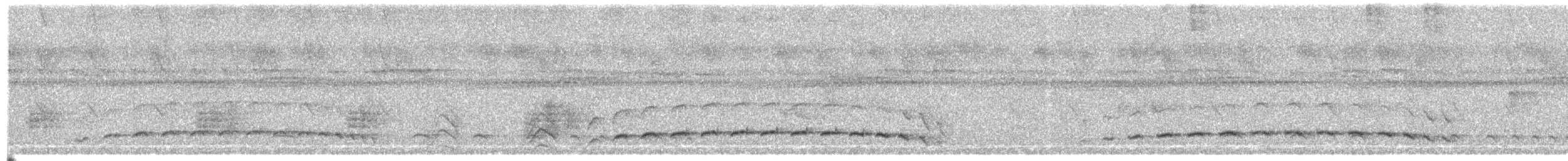 Fleckenbrust-Ameisenvogel - ML203961141