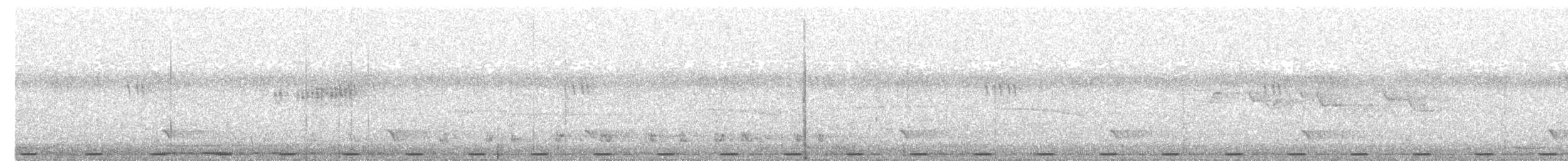 Fleckenbartvogel (hirsuta) - ML203961321