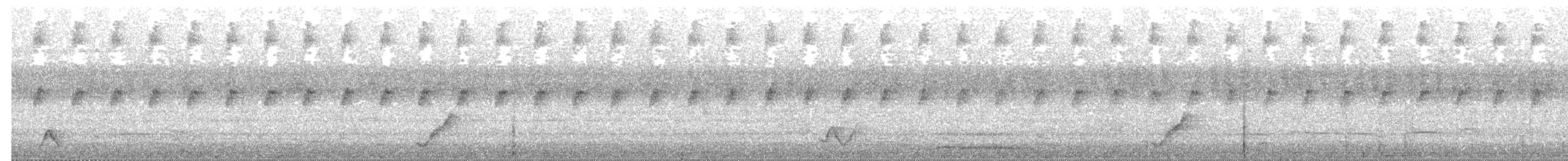 Pitohuí Variable Norteño - ML203961601