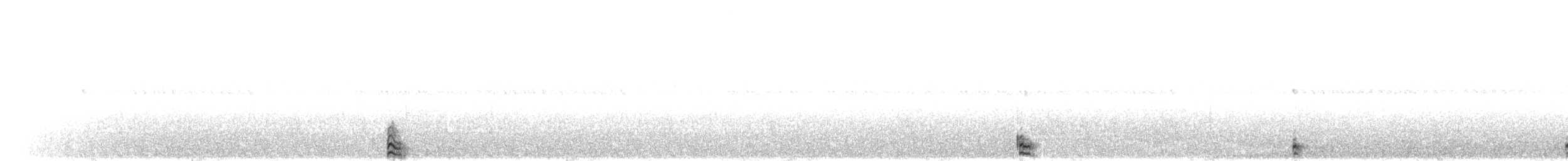 Weißbauch-Nachtschwalbe - ML203961871
