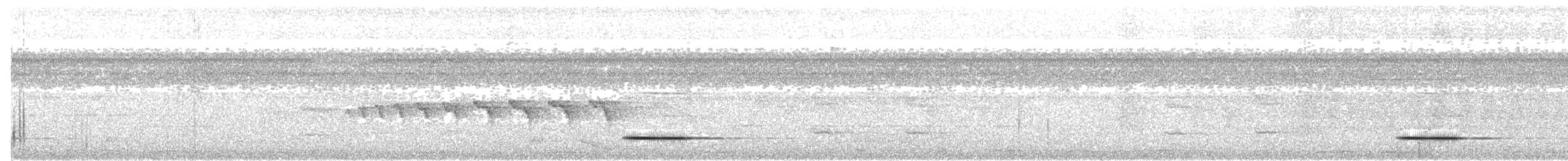 White-throated Tinamou - ML203962671