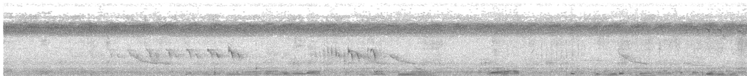 Black-browed Triller - ML203963111