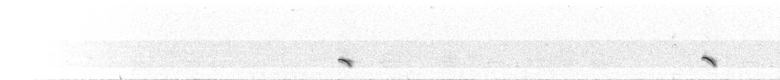 Black-crowned Monjita - ML203963501