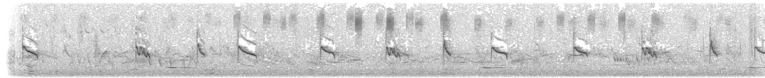 Окулярник капський (підвид capensis) - ML203964151