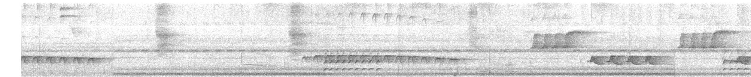 Glutaugen-Ameisenvogel (castanoptera) - ML203964531