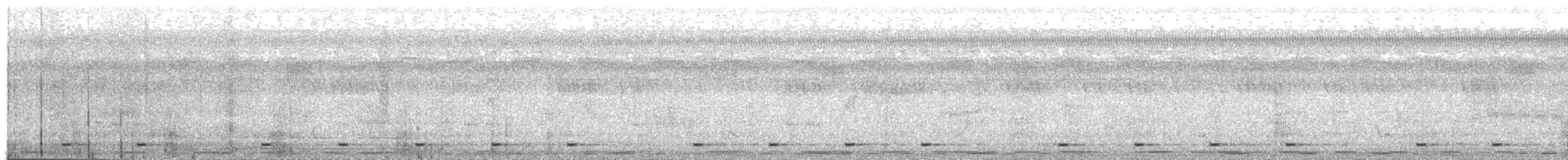 キゴシヒメゴシキドリ（bilineatus グループ） - ML203965021