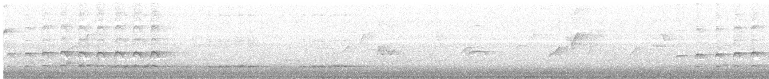 Glanzfleckdrongo [bracteatus-Gruppe] - ML203967051