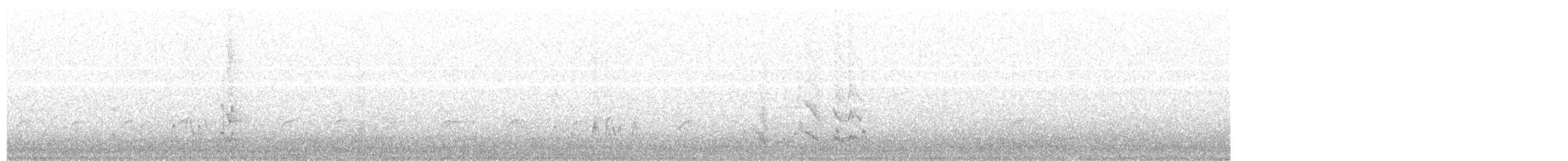 Perruche de Pennant (adelaidae/subadelaidae) - ML203967071