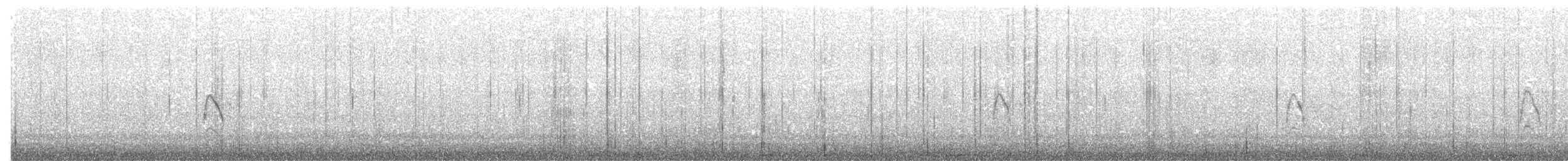 Little Ringed Plover (dubius/jerdoni) - ML203968521
