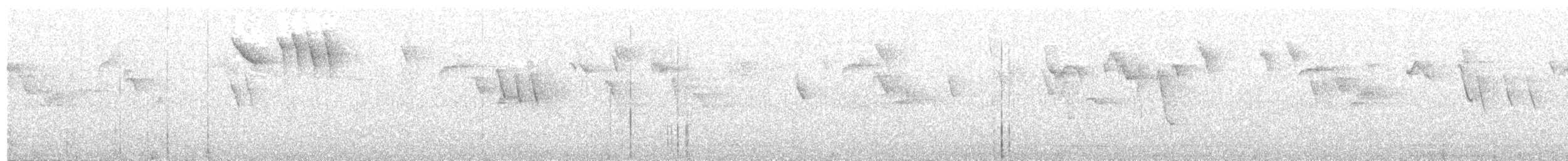 brhlík kabylský - ML203968641