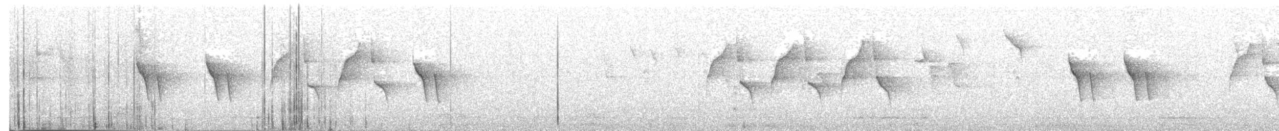 sýkora uhelníček (ssp. ledouci/atlas) - ML203968691
