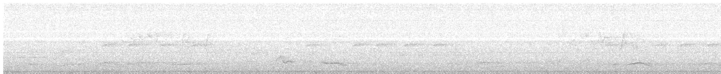 svartstrupelattertrost (chinensis gr.) - ML203969491