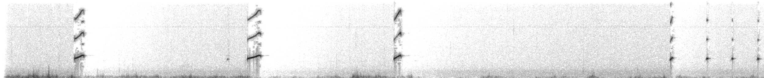 ústřičník žlutooký - ML203969651