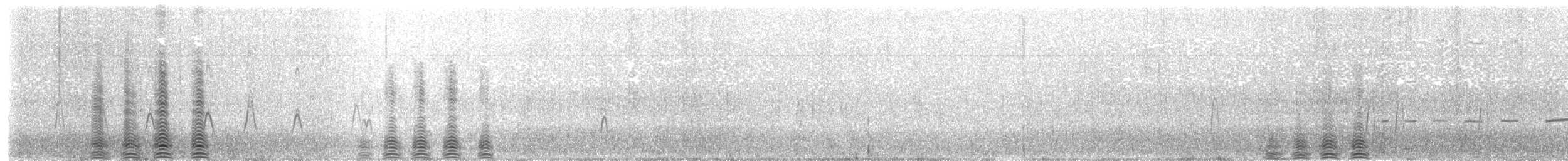 husice patagonská - ML203969741