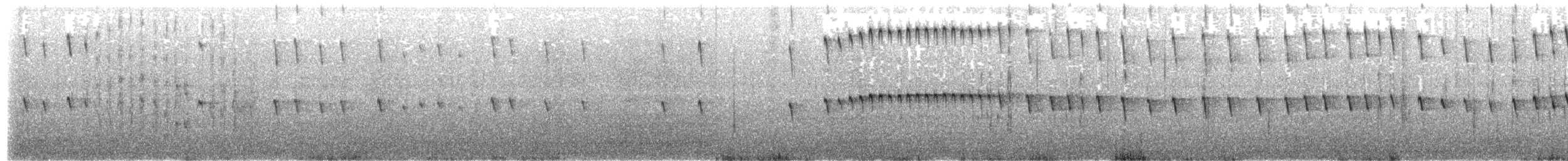 Тёмная трясохвостка (antarcticus) - ML203969771