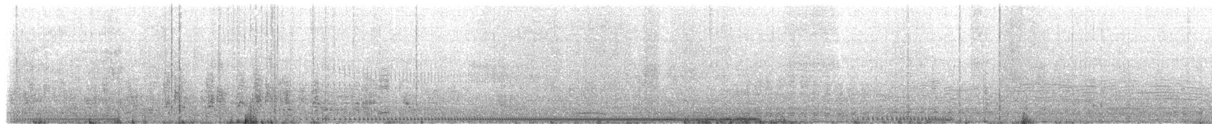 svartbrynalbatross (melanophris) - ML203969791