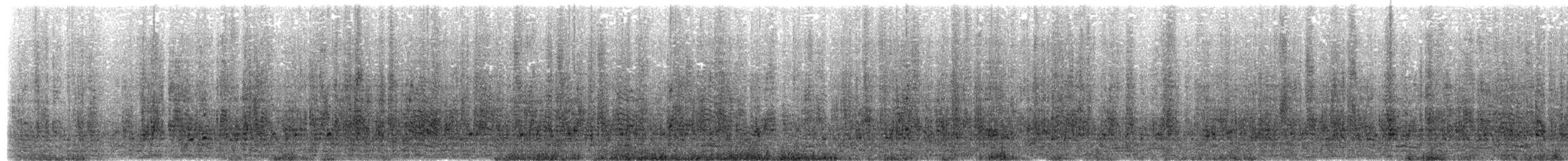 Pingüino Saltarrocas Meridional (chrysocome) - ML203969801