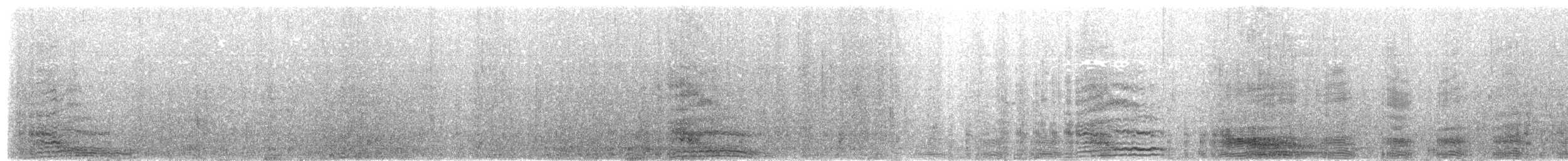 Magellanic Cormorant - ML203969881