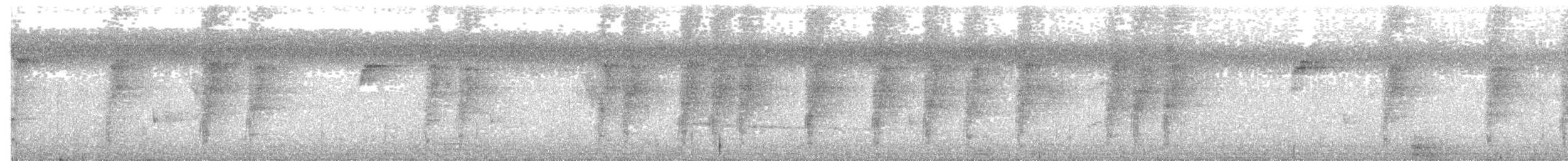 Psittacule double-oeil (groupe diophthalma) - ML203970481