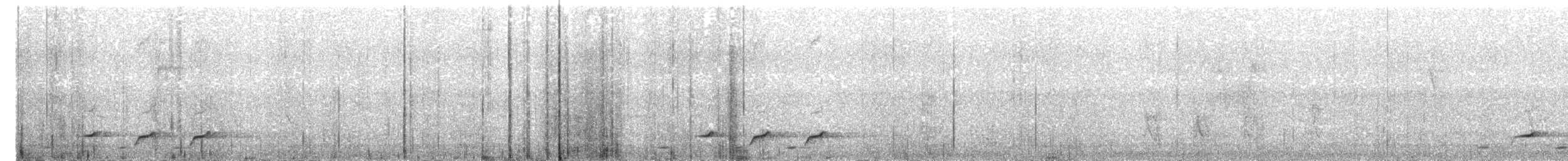 Вюргер червонолобий - ML203970561