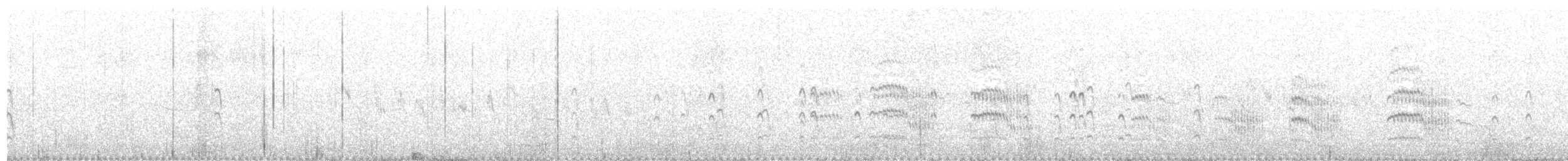 燕鷗(longipennis) - ML203970791