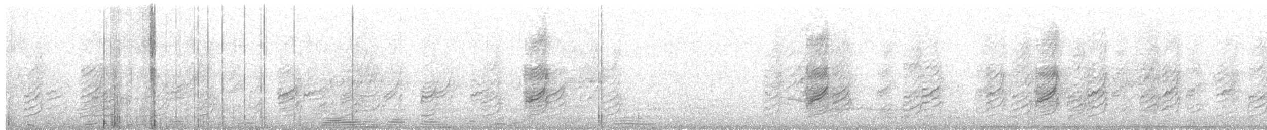 asurskjære (cyanus gr.) - ML203970811