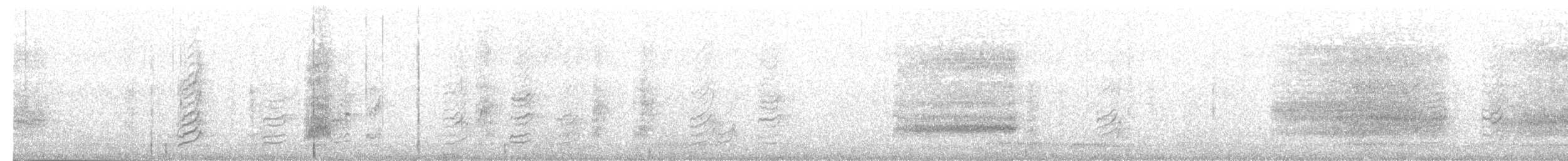asurskjære (cyanus gr.) - ML203970821