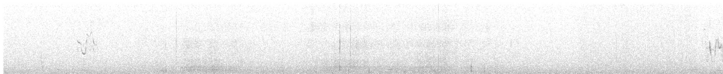 White Wagtail (Transbaikalian) - ML203970981
