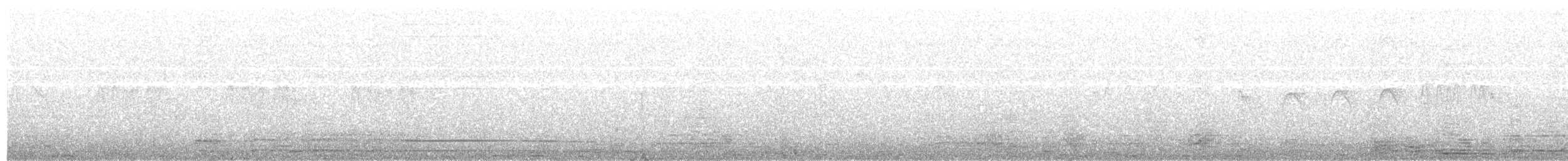 アジアヤシアマツバメ - ML203971261