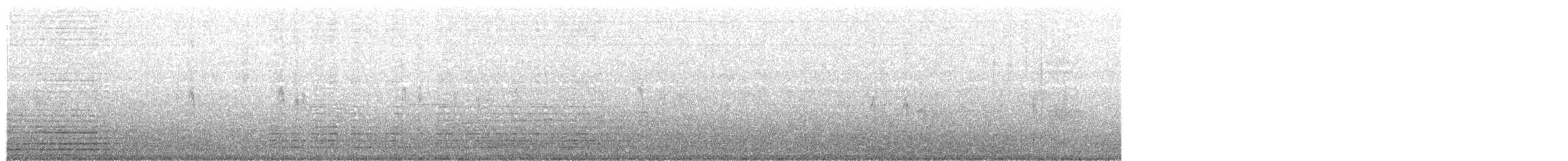 Lavandera Blanca (alboides) - ML203971361