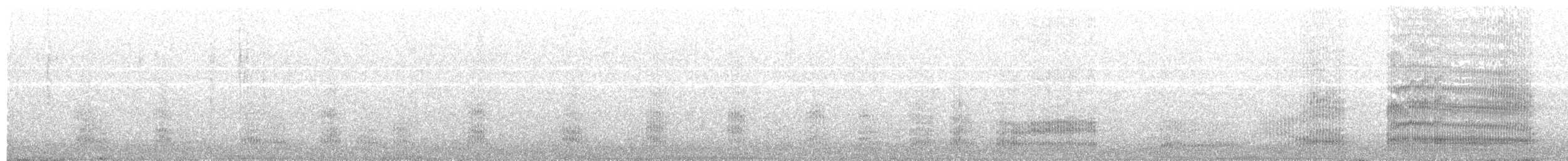 Mouette argentée (novaehollandiae/forsteri) - ML203971481